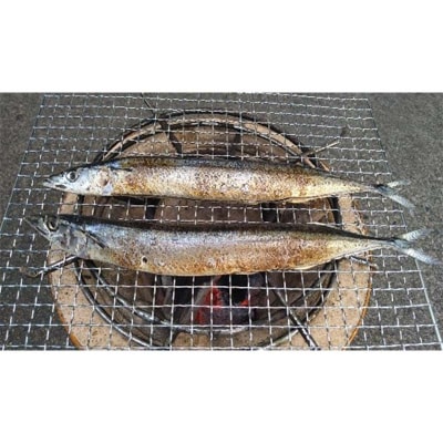 三陸山田 【無添加】おまかせ 干物 セット(大)