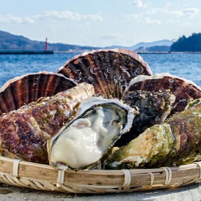 三陸山田産 殻付き 牡蠣 10個・ ホタテ 5枚セット カキ ほたて 帆立