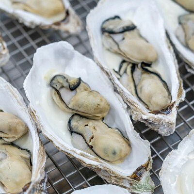 三陸山田産 山田湾 育ちの カキ グラタン (16個入り)  牡蠣