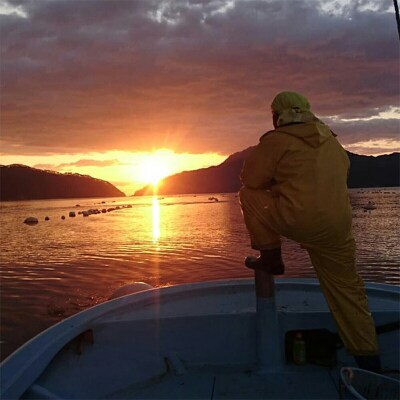 三陸山田 海藻 セット わかめ 昆布 めかぶ 5種類 1850g 