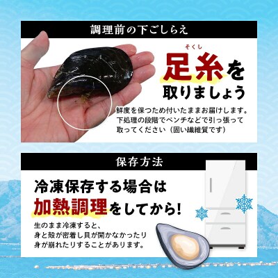 三陸山田産 山田 の ムール貝 4kg 