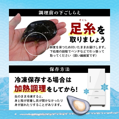 三陸山田産 山田 の ムール貝 1kg