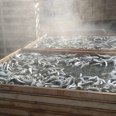 【無添加】三陸山田 煮干し お試し200g×2袋セット