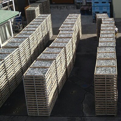 【無添加】三陸山田 煮干し お試し200g×2袋セット