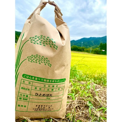 令和7年産 三陸山田産 米 ひとめぼれ 10kg