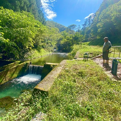 令和7年産 三陸山田産 米 ひとめぼれ 10kg