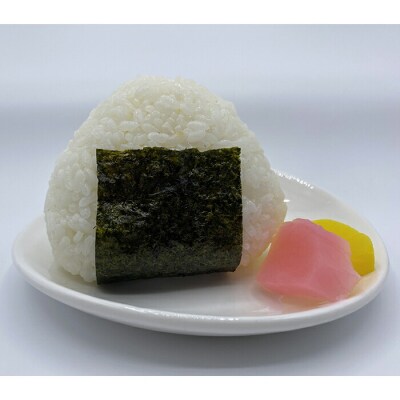 令和7年産 3年連続特A評価! 三陸山田産 米 銀河のしずく 10kg