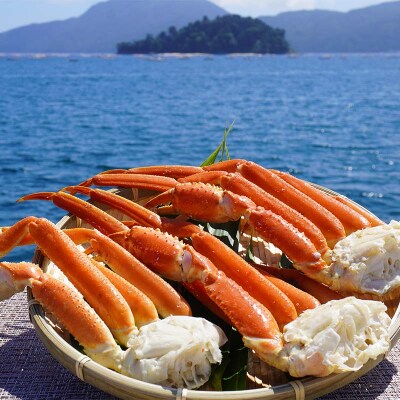 【数量限定】ズワイガニ 2Lサイズ3肩入り(680g前後 ×2パック)  かに カニ 蟹