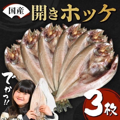 【無添加】国産 真ホッケ 大サイズ×3枚 肉厚 冷凍 ほっけ 干物 北海道産 一夜干し 魚 魚介