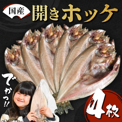 【無添加】国産 真ホッケ 大サイズ×4枚 肉厚 冷凍 ほっけ 干物 北海道産 一夜干し 魚 魚介