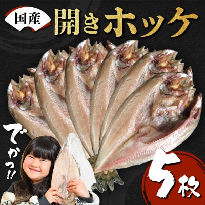 【無添加】国産 真ホッケ 大サイズ×5枚 肉厚 冷凍 ほっけ 干物 北海道産 一夜干し 魚 魚介