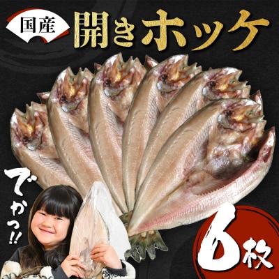 【無添加】国産 真ホッケ 大サイズ×6枚 肉厚 冷凍 ほっけ 干物 北海道産 一夜干し 魚 魚介