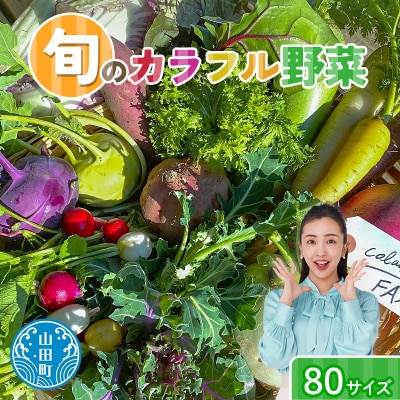 【数量限定】三陸山田産 カラフル 野菜 詰め合わせ 令和8年5月中旬以降発送 80サイズ