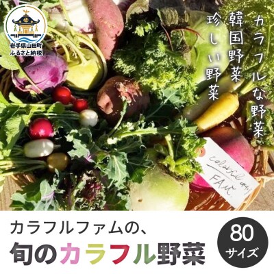 【数量限定】三陸山田産 カラフル 野菜 詰め合わせ 令和8年5月中旬以降発送 80サイズ