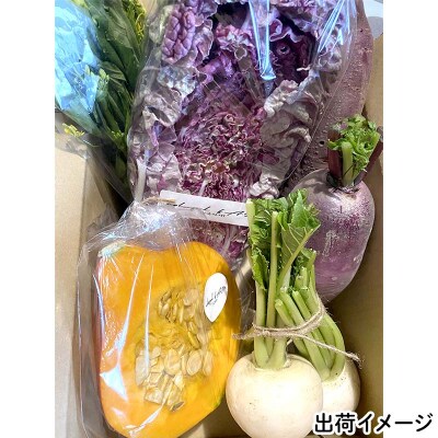 【数量限定】三陸山田産 カラフル 野菜 詰め合わせ 令和8年5月中旬以降発送 80サイズ