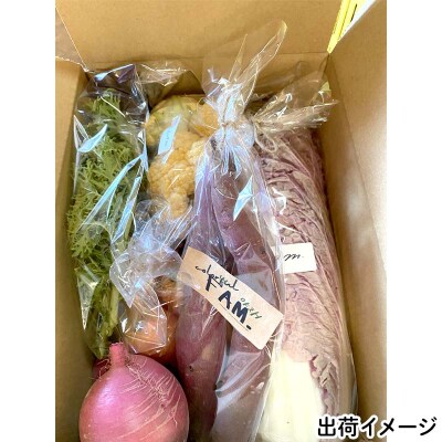 【数量限定】三陸山田産 カラフル 野菜 詰め合わせ 令和8年5月中旬以降発送 80サイズ