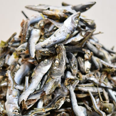 【数量限定】【訳あり】無添加 国産 煮干し 1.4kg 出汁 カルシウム にぼし いわし イワシ