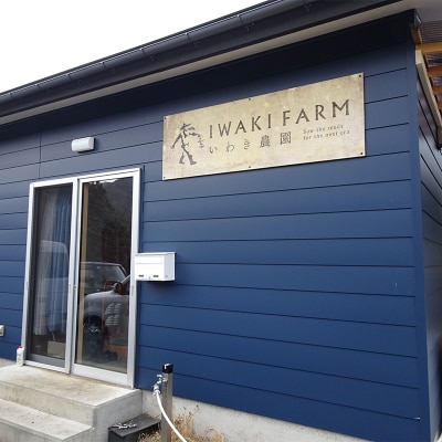 期間限定! スナップエンドウ 三陸山田産【5月中旬～6月中旬発送!】 500g すなっぷえんどう