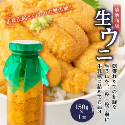 【牛乳瓶入り生うに】【2026年6月上旬以降発送 】菊池商店 プレミアム 生うに 150g 1本