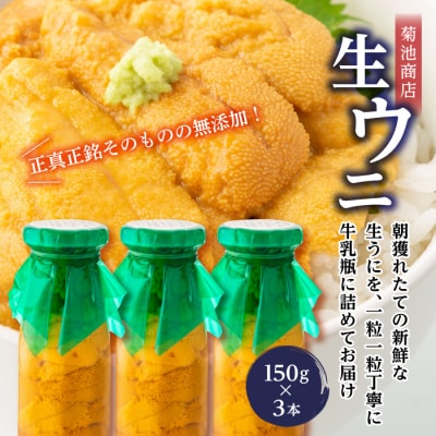 【牛乳瓶入り生うに】【2026年6月上旬以降発送 】菊池商店 プレミアム 生うに 150g 3本