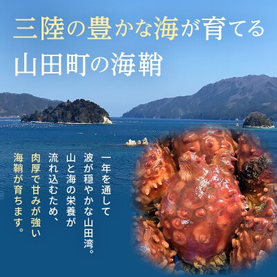 燻製ホヤ 30g×4袋セット