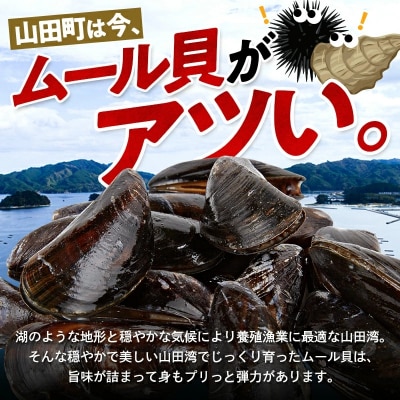 明神丸かき・ほたてきちのムール貝 4kg