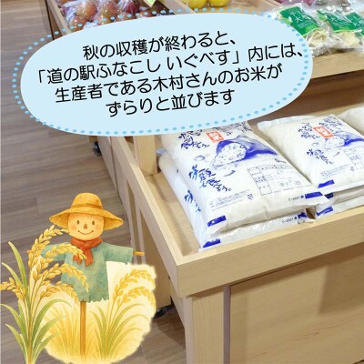 令和7年産 三陸山田産 米 ひとめぼれ 10kg