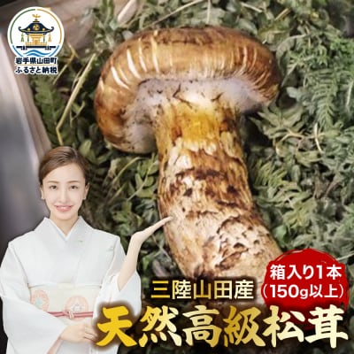 ≪2026年先行予約 9月中旬～11月下旬発送予定!≫三陸山田産 高級松茸 1本入り