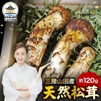 ≪2026年先行予約 9月中旬～11月下旬発送予定!≫ 秋の味覚 三陸山田産 松茸 約120g