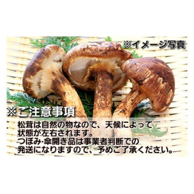 ≪2026年先行予約 9月中旬～11月下旬発送予定!≫ 秋の味覚 三陸山田産 松茸 約120g