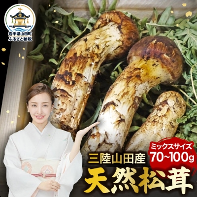 ≪2026年先行予約 9月中旬～11月下旬発送予定!≫ 三陸山田産 松茸(ミックスサイズ)