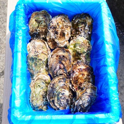 大福丸の殻付き牡蠣 20個 【三陸山田産】【沖縄・離島配送不可】三陸山田 山田町 山田湾