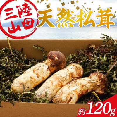 ≪2026年先行予約 10月上旬から順次発送予定!≫ 国産松茸  天然松茸 約120g
