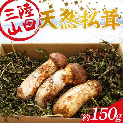 ≪2026年先行予約 10月上旬から順次発送予定!≫ 国産松茸 天然松茸 約150g
