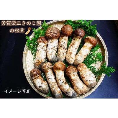 ≪2026年先行予約≫「茸の匠」が採る 三陸山田産 松茸 約200g 【芳賀榮三きのこ園】