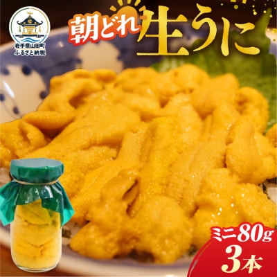 【2027年5月中旬以降発送】 菱屋商店 牛乳瓶入り生うに 80g×3本
