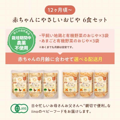 栄養満点離乳食!12ヶ月頃からの『赤ちゃんにやさしいおじや』2種各3袋セット [AGAA008]