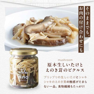 ピクルスセット 4個入り [AGAA015]