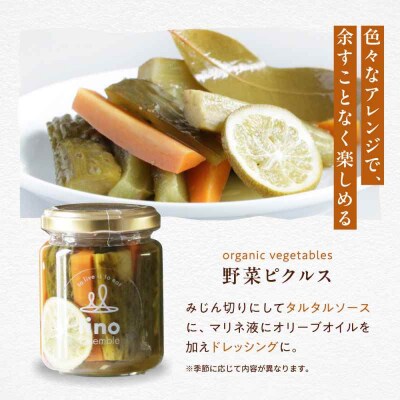 ピクルスセット 4個入り [AGAA015]