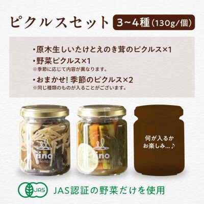 ピクルスセット 4個入り [AGAA015]