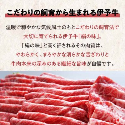 【黒毛和牛】毎月30個限定!伊予牛「絹の味」3種食べ比べ ロース・肩ロース・モモ [AGAB001]