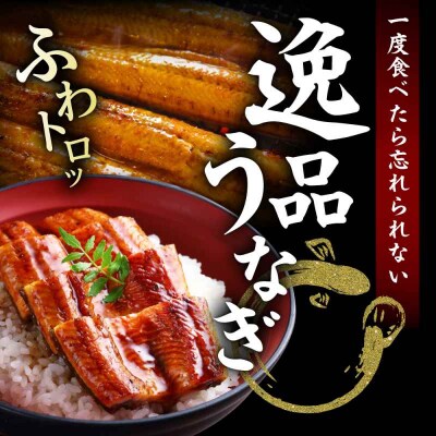 国産うなぎ!家庭で本格料亭の味!うなぎ蒲焼き 6尾セット(2尾×3箱)[AGAH003]