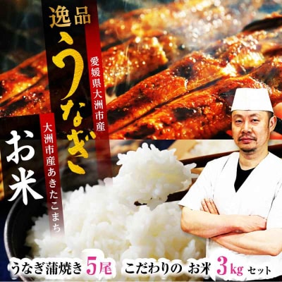 秘伝のタレで焼き上げた「うなぎ蒲焼き5尾」と生産者こだわりの「お米3kg」セット[AGAH006]