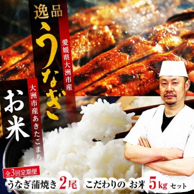 【全3回定期便】秘伝のタレ!「うなぎ蒲焼2尾」とこだわりの「お米5kg」セット[AGAH008]