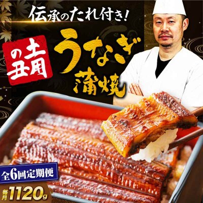 【全6回定期便】 国産うなぎ!本格料亭の味!うなぎ蒲焼8尾(2尾×4箱)[AGAH024]