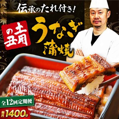 【全12回定期便】 国産うなぎ!本格料亭の味!うなぎ蒲焼10尾セット(2尾×5箱)[AGAH027]