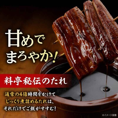 大正から受け継がれる「伝承のたれ」2本セット [AGAH028]