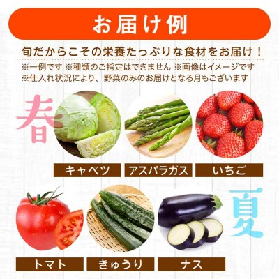 産地直送!鮮度抜群!旬の産直市お任せセット(6種以上)[AGAP001]