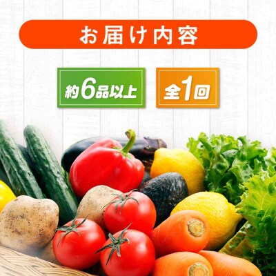 産地直送!鮮度抜群!旬の産直市お任せセット(6種以上)[AGAP001]