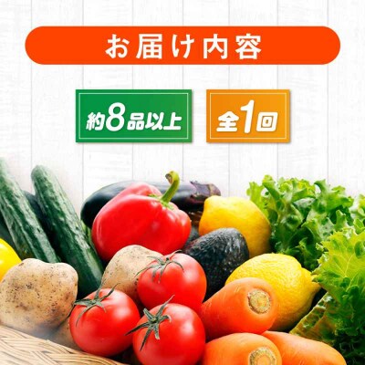 産地直送!鮮度抜群!旬の産直市お任せセット(8種以上)[AGAP002]